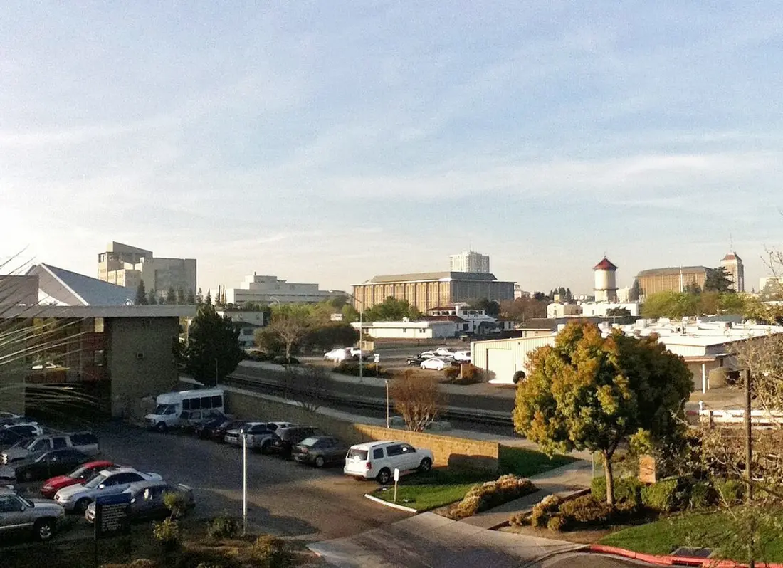 Pest control in Downtown Fresno